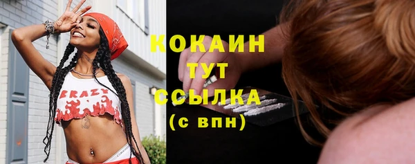 твердый Нягань