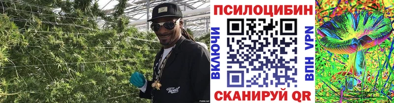 где продают наркотики Комсомольск Галлюциногенные грибы MAGIC MUSHROOMS